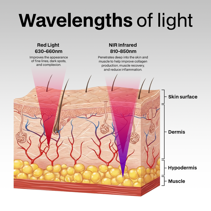 Wavelengths of light — 660nm Red Light and 850nm NIR Infrared penetration diagram